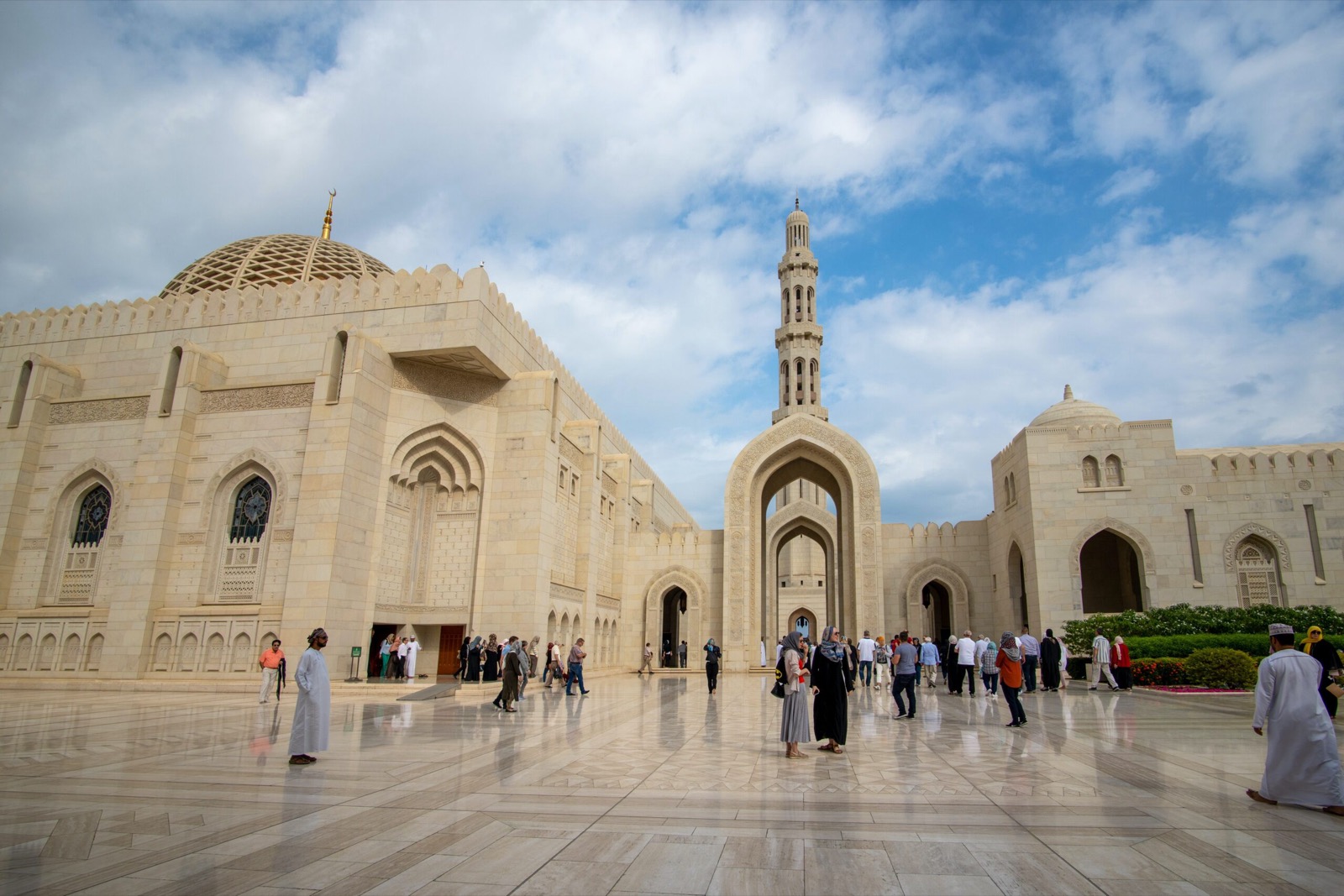 خدمات الاستشارات المالية المهنية